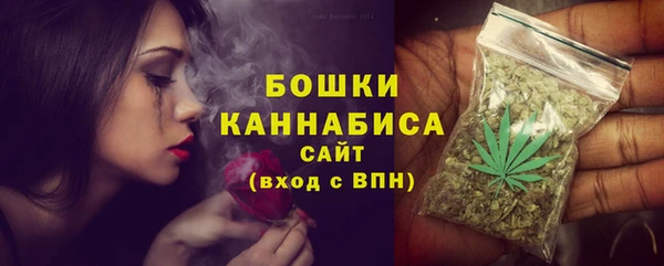 спиды Новодвинск