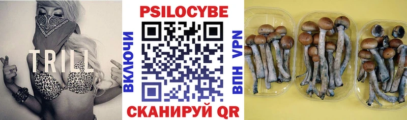 как найти наркотики  Чёрмоз  Псилоцибиновые грибы мицелий 